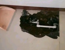 南山卫生间测漏水多少钱